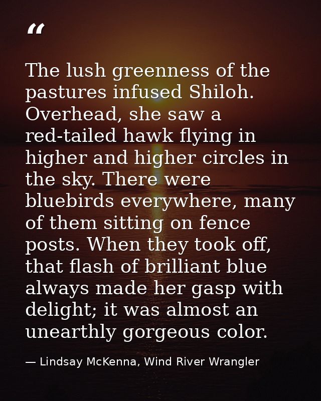 The lush greenness of the pastures infused Shiloh. Overhead, she saw a red-tailed hawk flying in higher and higher circl — Lindsay McKenna, Wind River Wrangler