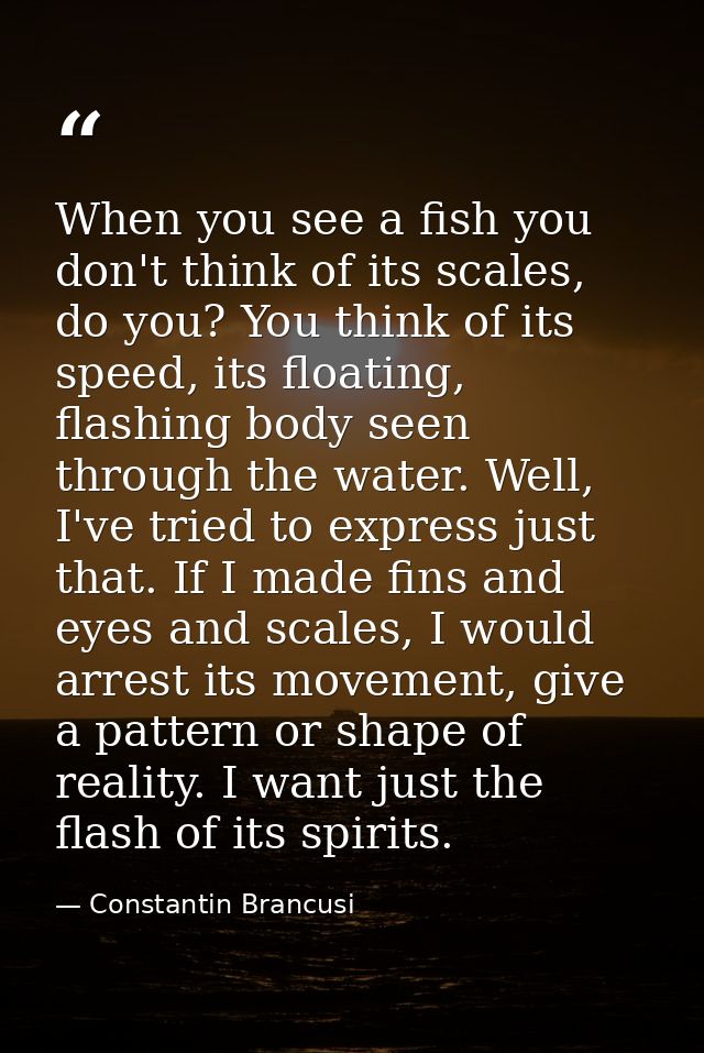 When you see a fish you don't think of its scales, do you? You think of its speed, its floating, flashing body seen thro — Constantin Brancusi