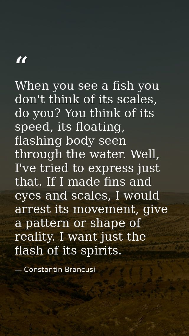 When you see a fish you don't think of its scales, do you? You think of its speed, its floating, flashing body seen thro — Constantin Brancusi