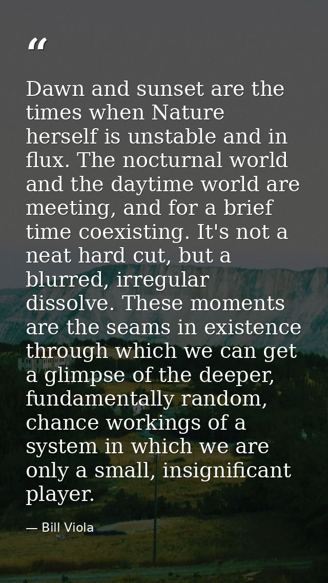 Dawn and sunset are the times when Nature herself is unstable and in flux. The nocturnal world and the daytime world are — Bill Viola