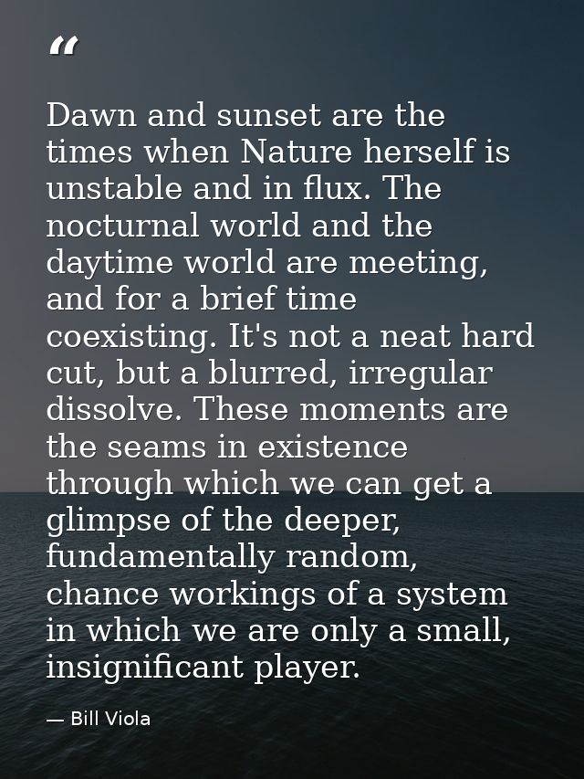 Dawn and sunset are the times when Nature herself is unstable and in flux. The nocturnal world and the daytime world are — Bill Viola