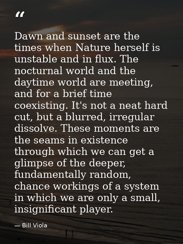 Dawn and sunset are the times when Nature herself is unstable and in flux. The nocturnal world and the daytime world are — Bill Viola