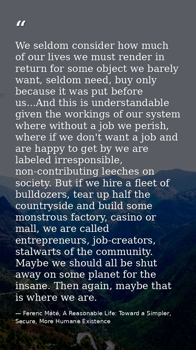 We seldom consider how much of our lives we must render in return for some object we barely want, seldom need, buy only  — Ferenc Máté, A Reasonable Life: Toward a Simpler, Secure, More Humane Existence