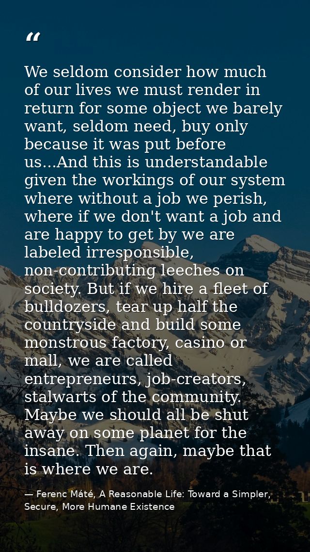 We seldom consider how much of our lives we must render in return for some object we barely want, seldom need, buy only  — Ferenc Máté, A Reasonable Life: Toward a Simpler, Secure, More Humane Existence