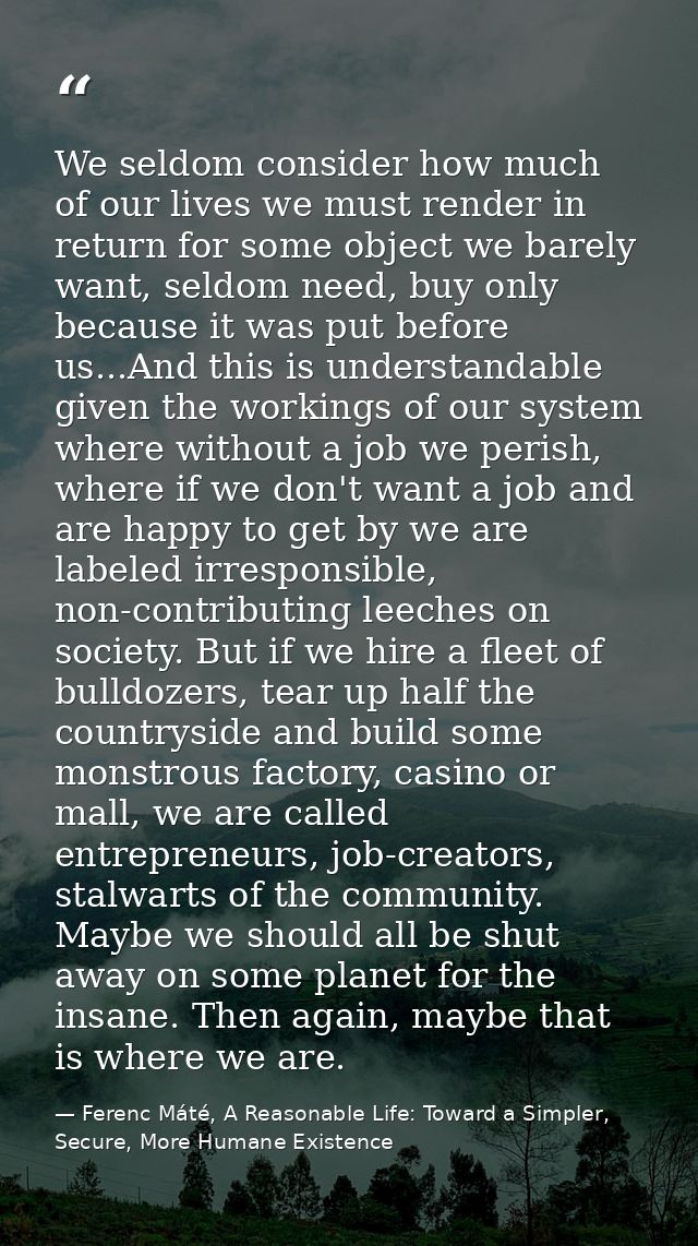 We seldom consider how much of our lives we must render in return for some object we barely want, seldom need, buy only  — Ferenc Máté, A Reasonable Life: Toward a Simpler, Secure, More Humane Existence