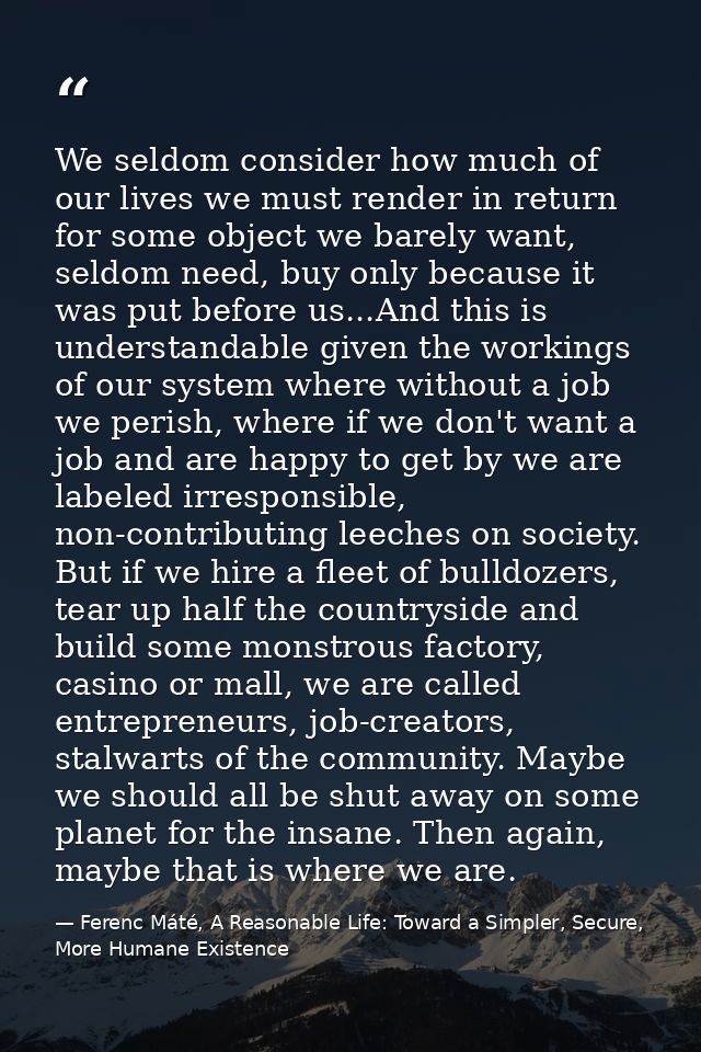 We seldom consider how much of our lives we must render in return for some object we barely want, seldom need, buy only  — Ferenc Máté, A Reasonable Life: Toward a Simpler, Secure, More Humane Existence