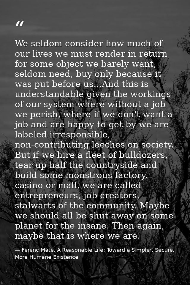 We seldom consider how much of our lives we must render in return for some object we barely want, seldom need, buy only  — Ferenc Máté, A Reasonable Life: Toward a Simpler, Secure, More Humane Existence