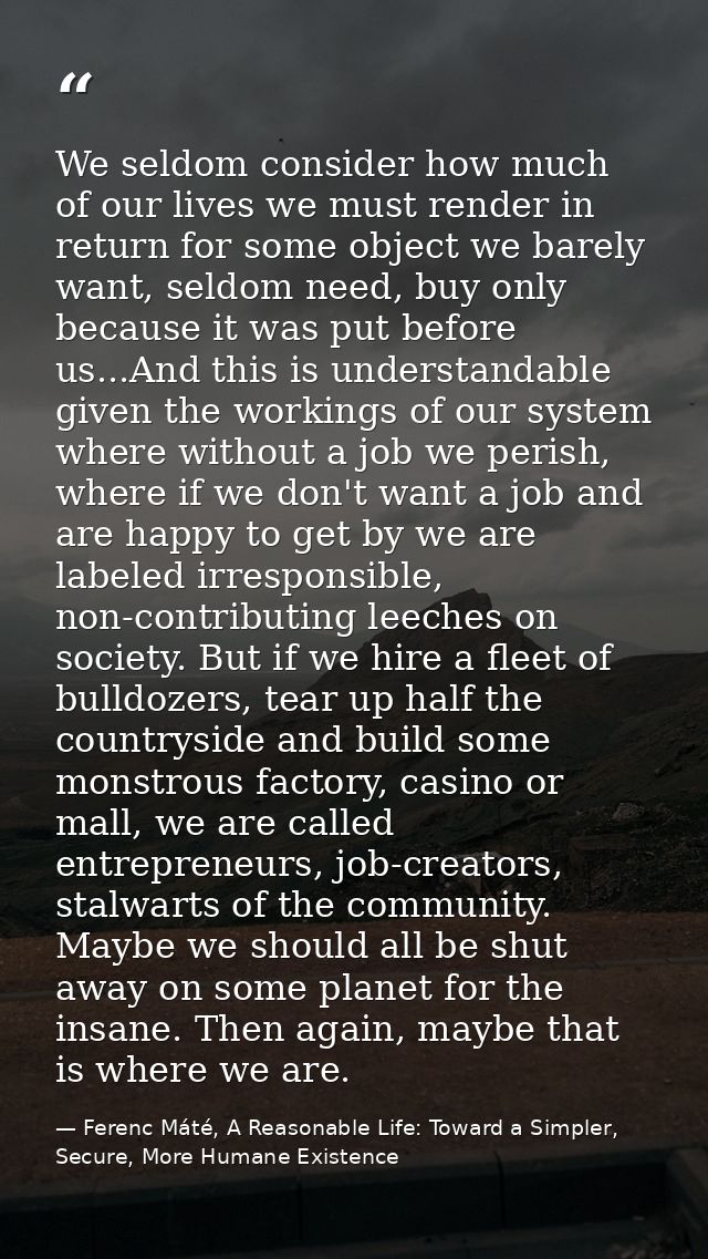 We seldom consider how much of our lives we must render in return for some object we barely want, seldom need, buy only  — Ferenc Máté, A Reasonable Life: Toward a Simpler, Secure, More Humane Existence