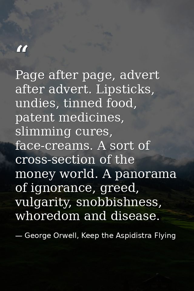 Page after page, advert after advert. Lipsticks, undies, tinned food, patent medicines, slimming cures, face-creams. A s — George Orwell, Keep the Aspidistra Flying