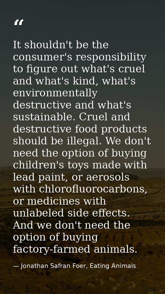 It shouldn't be the consumer's responsibility to figure out what's cruel and what's kind, what's environmentally destruc — Jonathan Safran Foer, Eating Animals
