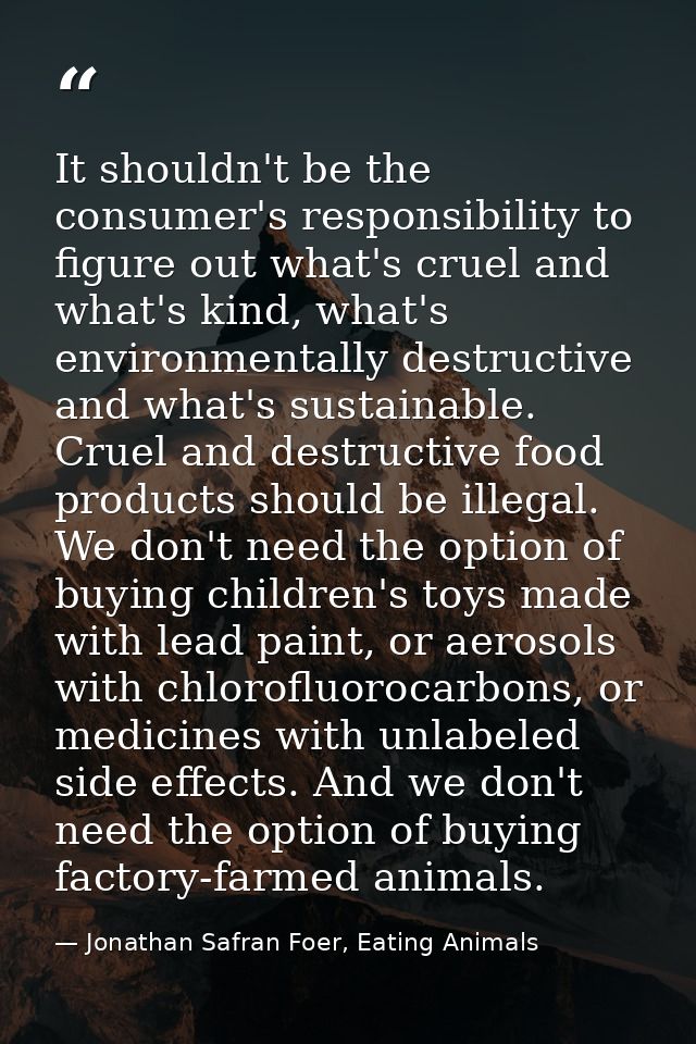 It shouldn't be the consumer's responsibility to figure out what's cruel and what's kind, what's environmentally destruc — Jonathan Safran Foer, Eating Animals