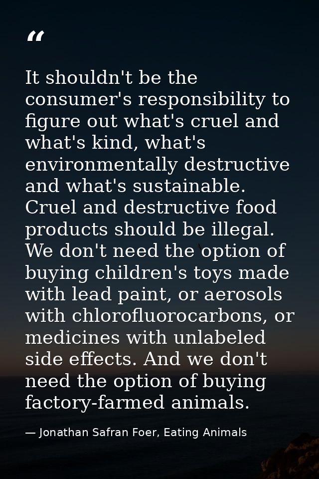 It shouldn't be the consumer's responsibility to figure out what's cruel and what's kind, what's environmentally destruc — Jonathan Safran Foer, Eating Animals