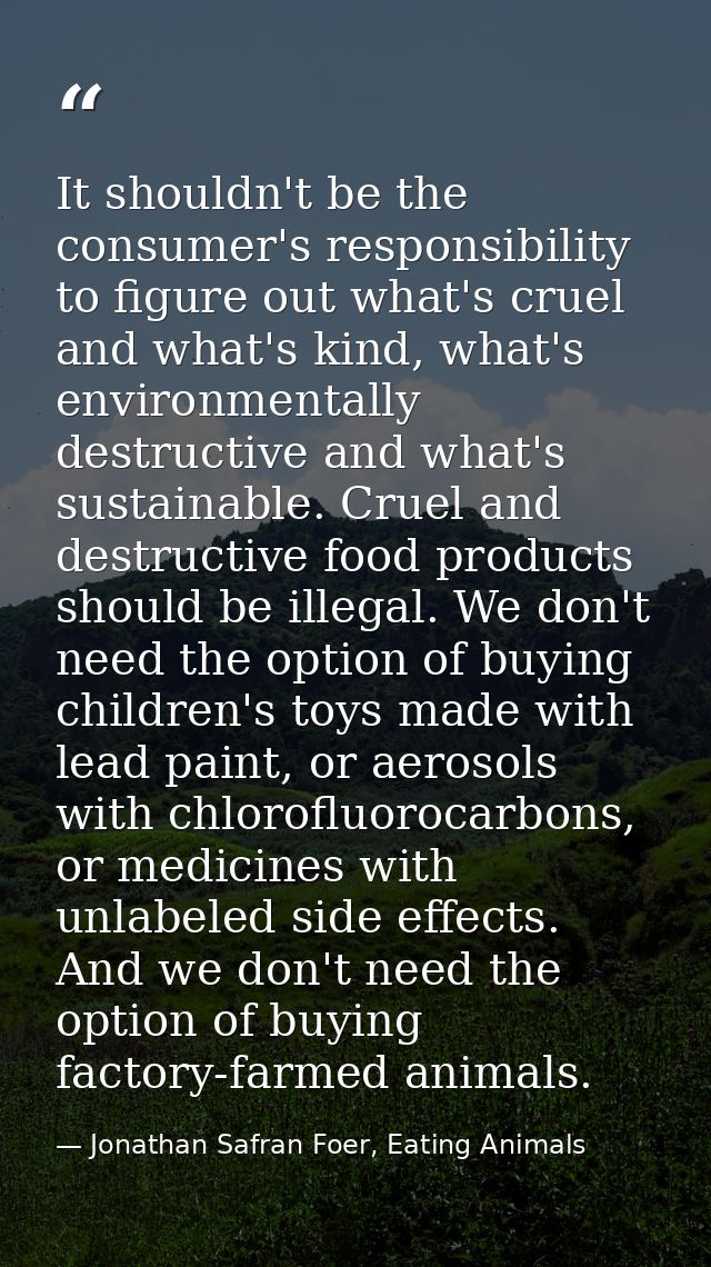 It shouldn't be the consumer's responsibility to figure out what's cruel and what's kind, what's environmentally destruc — Jonathan Safran Foer, Eating Animals