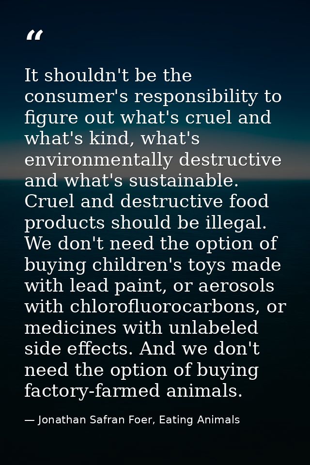 It shouldn't be the consumer's responsibility to figure out what's cruel and what's kind, what's environmentally destruc — Jonathan Safran Foer, Eating Animals