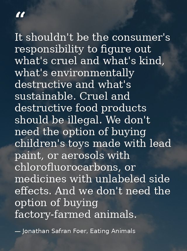 It shouldn't be the consumer's responsibility to figure out what's cruel and what's kind, what's environmentally destruc — Jonathan Safran Foer, Eating Animals