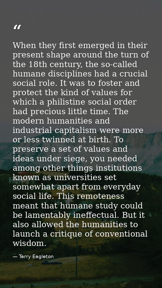 When they first emerged in their present shape around the turn of the 18th century, the so-called humane disciplines had — Terry Eagleton