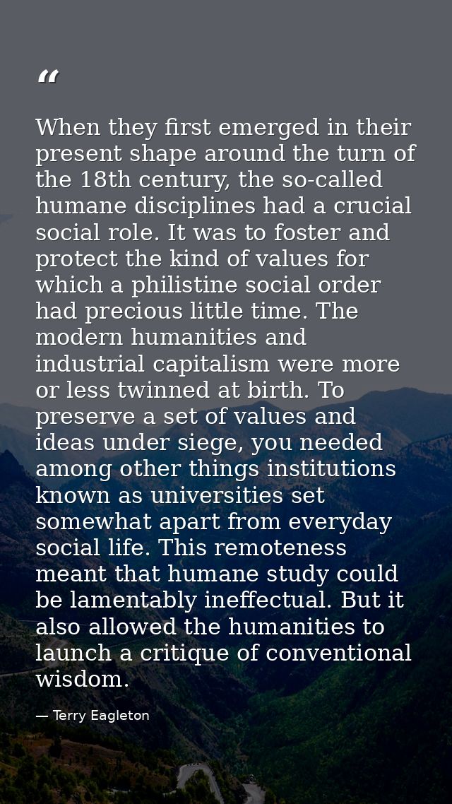 When they first emerged in their present shape around the turn of the 18th century, the so-called humane disciplines had — Terry Eagleton