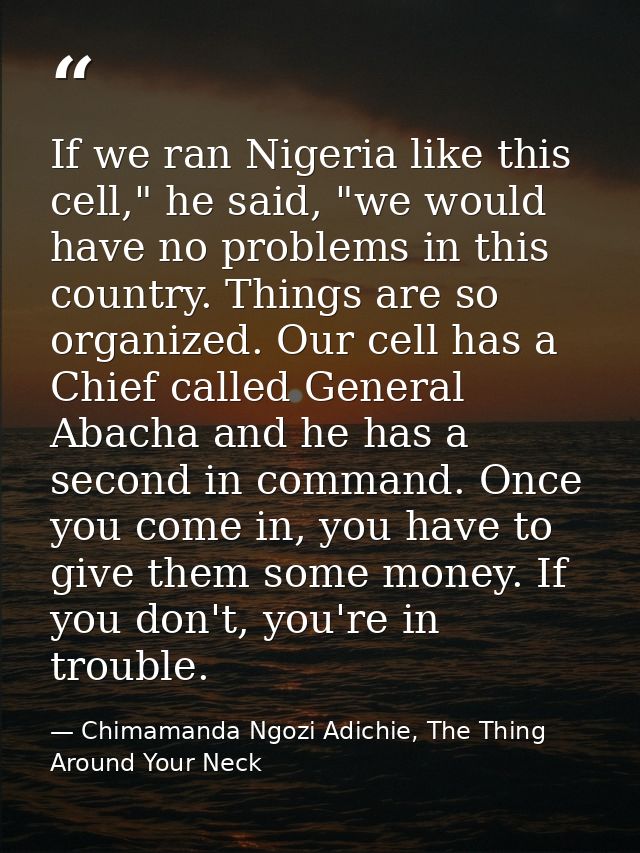 If we ran Nigeria like this cell," he said, "we would have no problems in this country. Things are so organized. Our cel — Chimamanda Ngozi Adichie, The Thing Around Your Neck