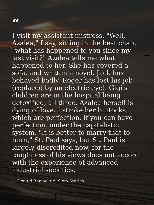 I visit my assistant mistress. "Well, Azalea," I say, sitting in the best chair, "what has happened to you since my last — Donald Barthelme, Sixty Stories