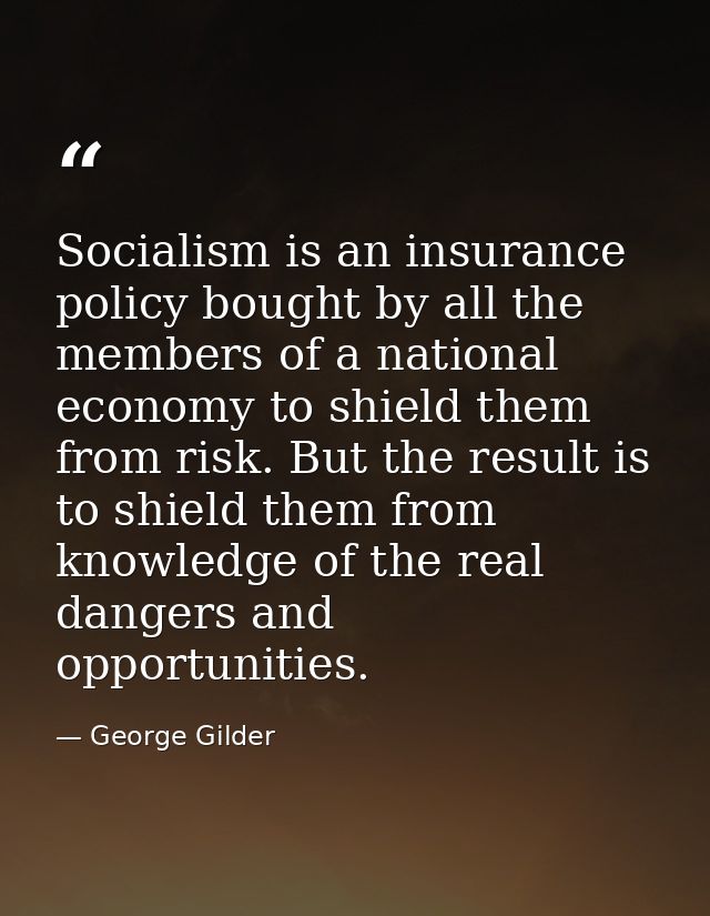 Socialism is an insurance policy bought by all the members of a national economy to shield them from risk. But the resul — George Gilder