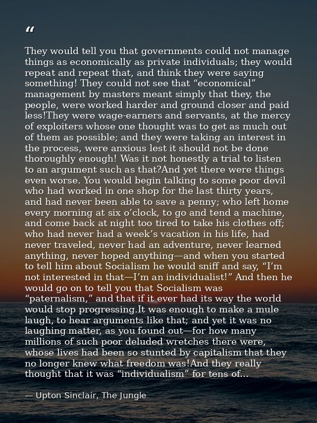 They would tell you that governments could not manage things as economically as private individuals; they would repeat a — Upton Sinclair, The Jungle