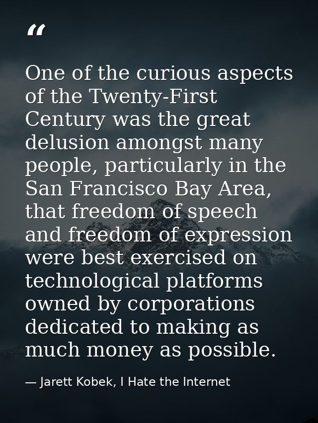 One of the curious aspects of the Twenty-First Century was the great delusion amongst many people, particularly in the S — Jarett Kobek, I Hate the Internet