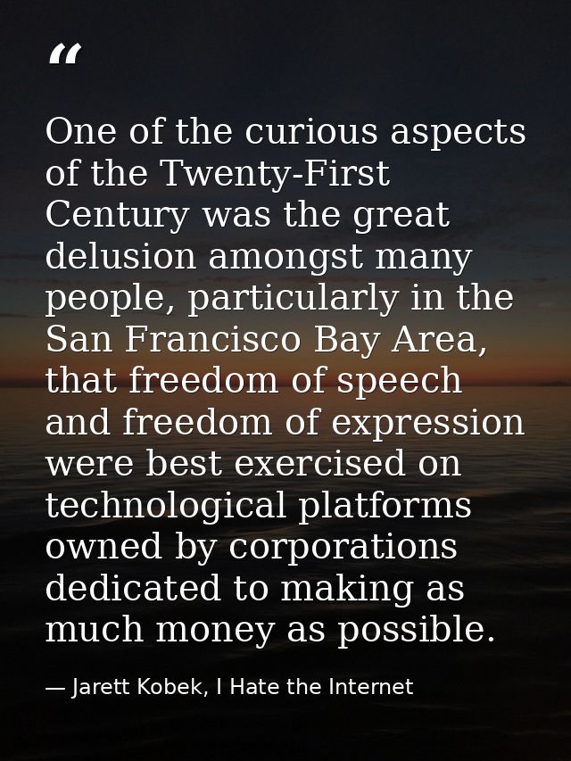 One of the curious aspects of the Twenty-First Century was the great delusion amongst many people, particularly in the S — Jarett Kobek, I Hate the Internet