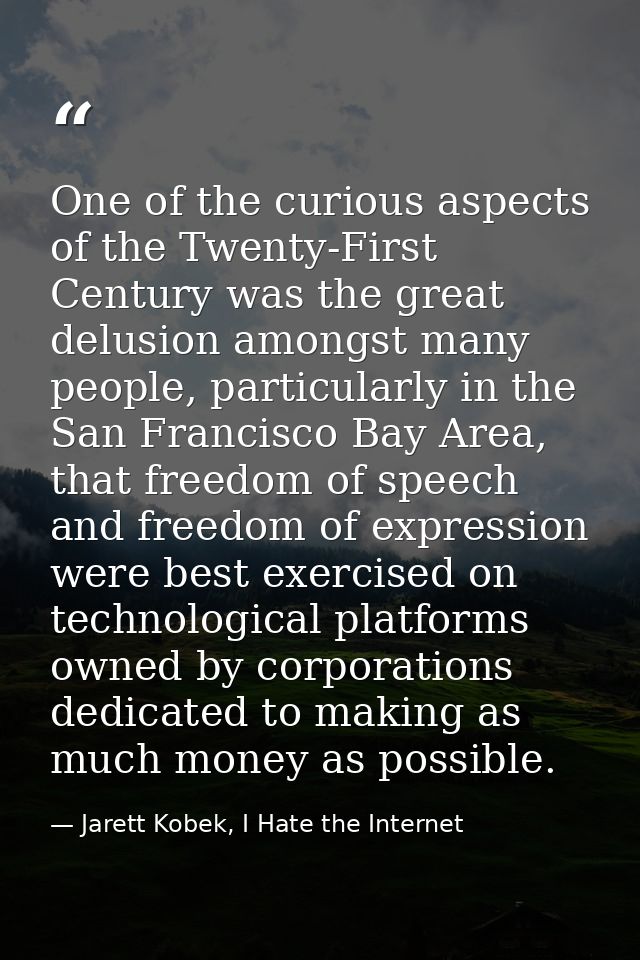 One of the curious aspects of the Twenty-First Century was the great delusion amongst many people, particularly in the S — Jarett Kobek, I Hate the Internet