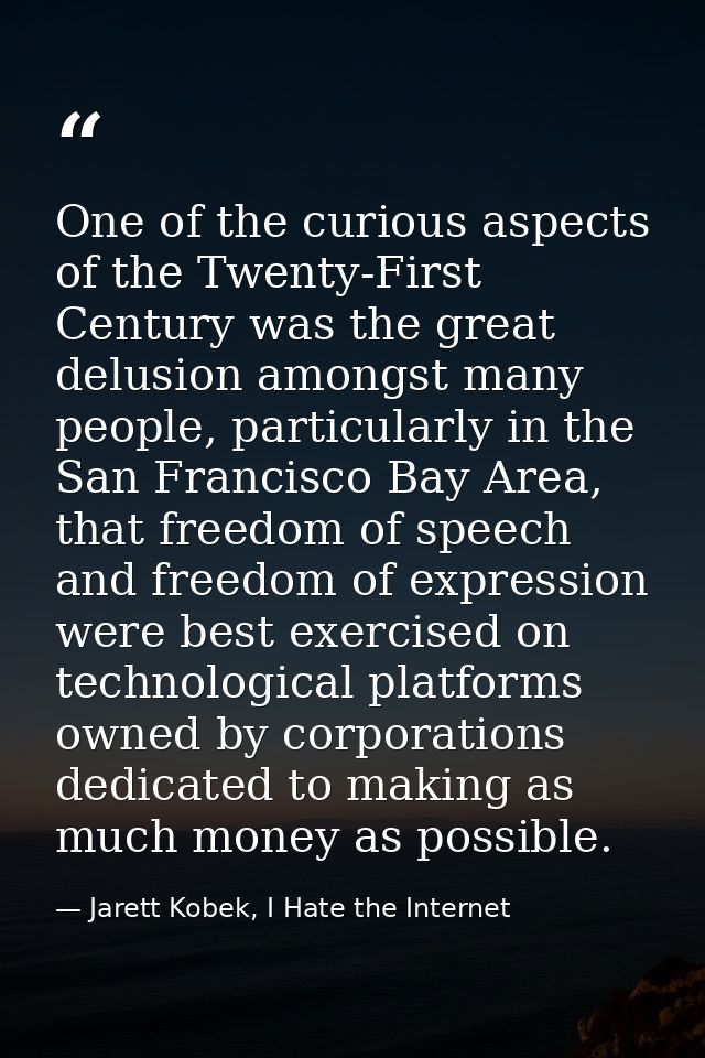 One of the curious aspects of the Twenty-First Century was the great delusion amongst many people, particularly in the S — Jarett Kobek, I Hate the Internet