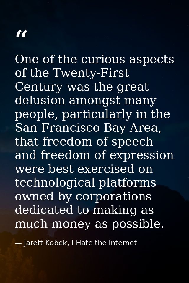 One of the curious aspects of the Twenty-First Century was the great delusion amongst many people, particularly in the S — Jarett Kobek, I Hate the Internet