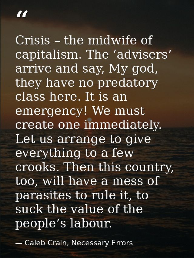 Crisis – the midwife of capitalism. The ‘advisers’ arrive and say, My god, they have no predatory class here. It is an e — Caleb Crain, Necessary Errors