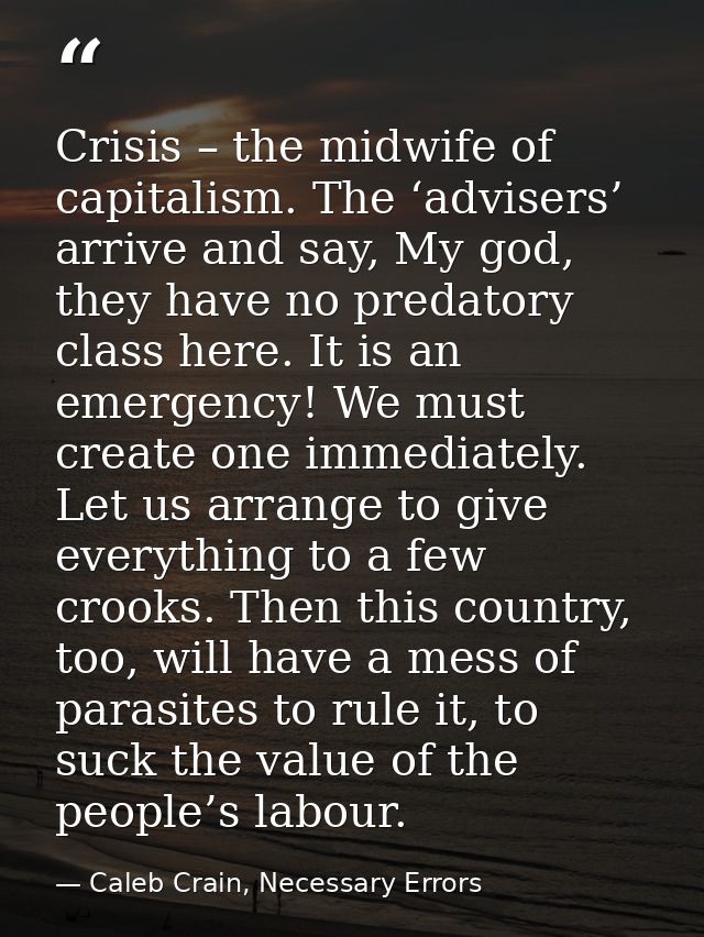 Crisis – the midwife of capitalism. The ‘advisers’ arrive and say, My god, they have no predatory class here. It is an e — Caleb Crain, Necessary Errors