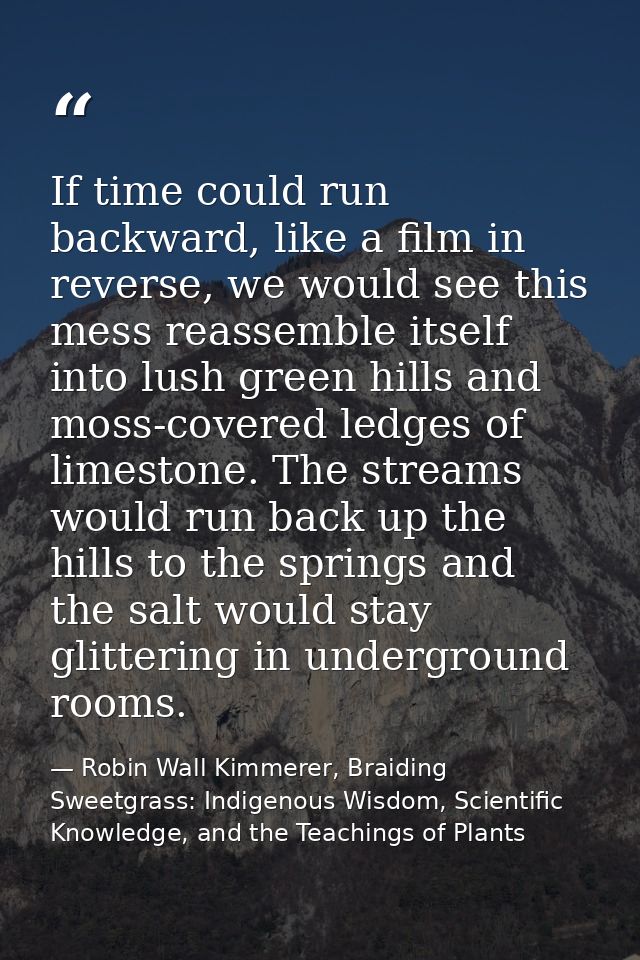 If time could run backward, like a film in reverse, we would see this mess reassemble itself into lush green hills and m — Robin Wall Kimmerer, Braiding Sweetgrass: Indigenous Wisdom, Scientific Knowledge, and the Teachings of Plants