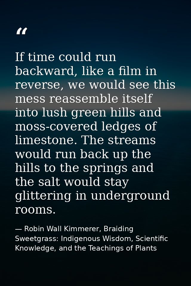 If time could run backward, like a film in reverse, we would see this mess reassemble itself into lush green hills and m — Robin Wall Kimmerer, Braiding Sweetgrass: Indigenous Wisdom, Scientific Knowledge, and the Teachings of Plants