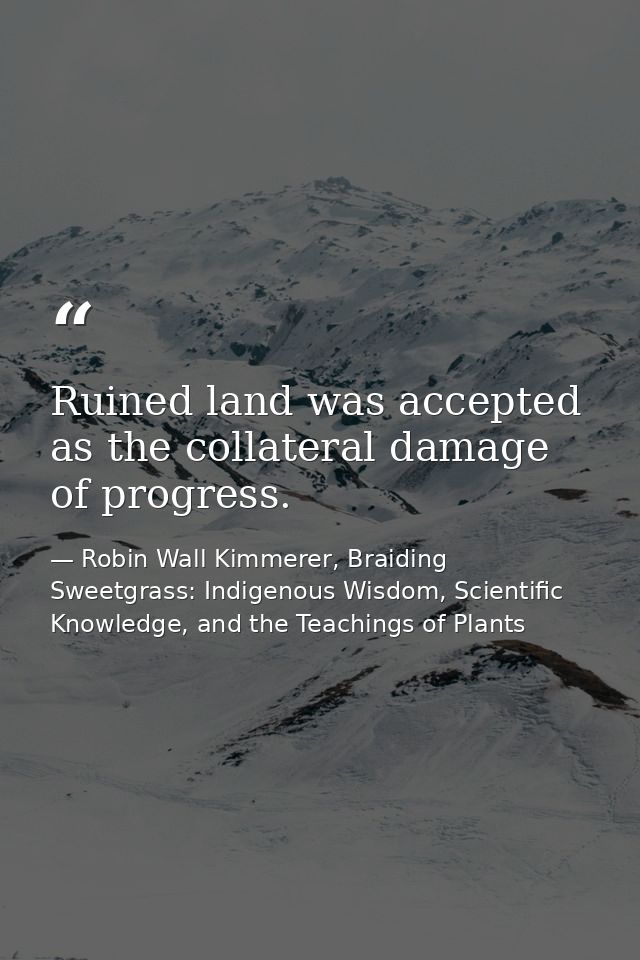 Ruined land was accepted as the collateral damage of progress. — Robin Wall Kimmerer, Braiding Sweetgrass: Indigenous Wisdom, Scientific Knowledge, and the Teachings of Plants