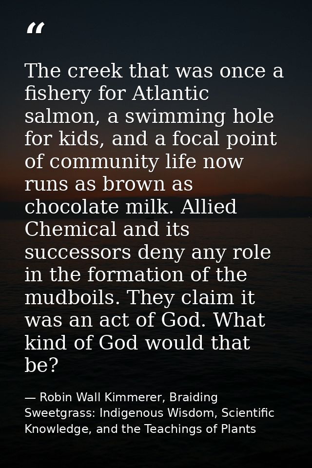 The creek that was once a fishery for Atlantic salmon, a swimming hole for kids, and a focal point of community life now — Robin Wall Kimmerer, Braiding Sweetgrass: Indigenous Wisdom, Scientific Knowledge, and the Teachings of Plants