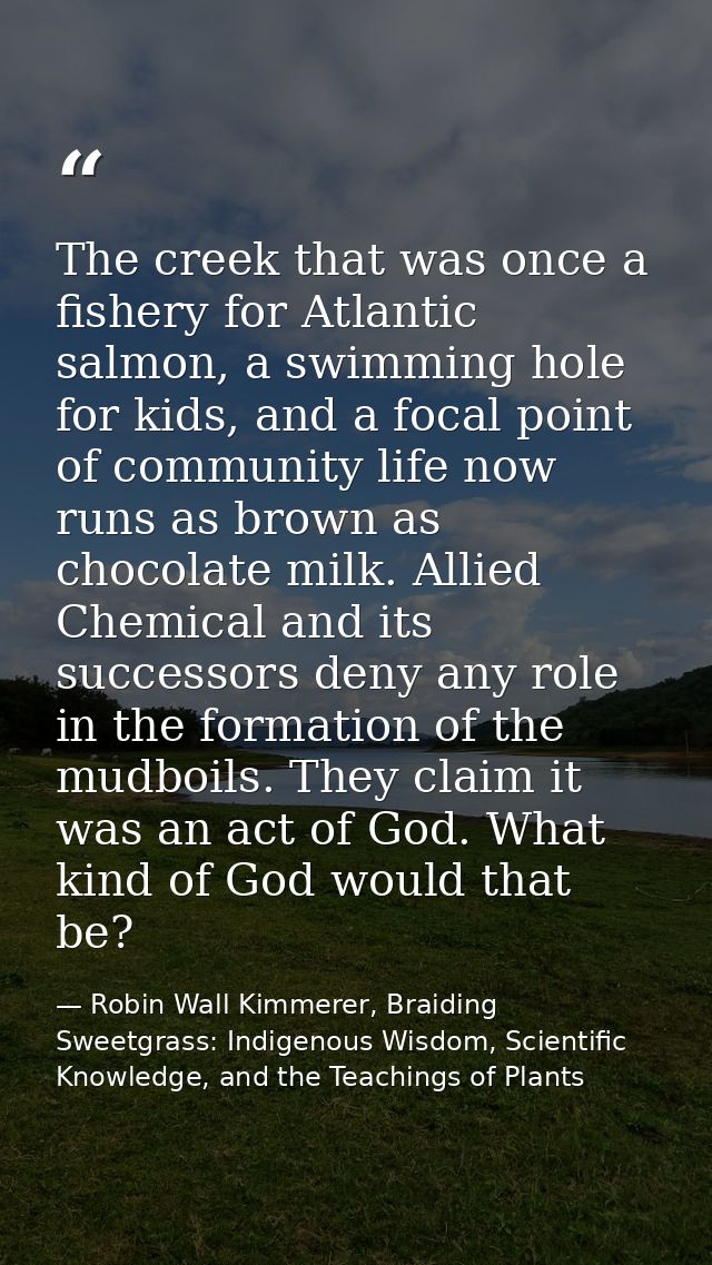 The creek that was once a fishery for Atlantic salmon, a swimming hole for kids, and a focal point of community life now — Robin Wall Kimmerer, Braiding Sweetgrass: Indigenous Wisdom, Scientific Knowledge, and the Teachings of Plants