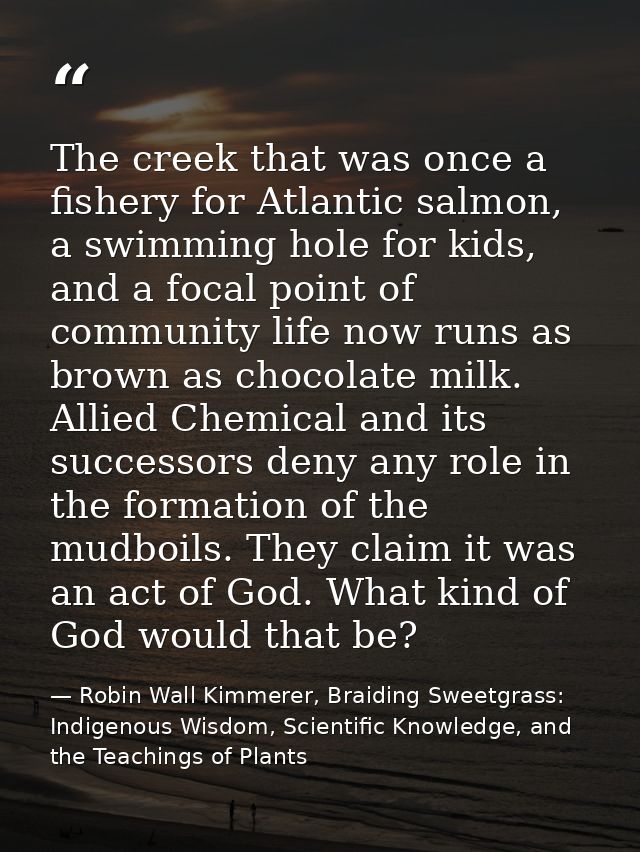 The creek that was once a fishery for Atlantic salmon, a swimming hole for kids, and a focal point of community life now — Robin Wall Kimmerer, Braiding Sweetgrass: Indigenous Wisdom, Scientific Knowledge, and the Teachings of Plants