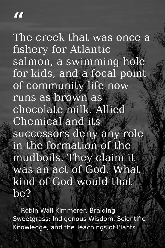 The creek that was once a fishery for Atlantic salmon, a swimming hole for kids, and a focal point of community life now — Robin Wall Kimmerer, Braiding Sweetgrass: Indigenous Wisdom, Scientific Knowledge, and the Teachings of Plants