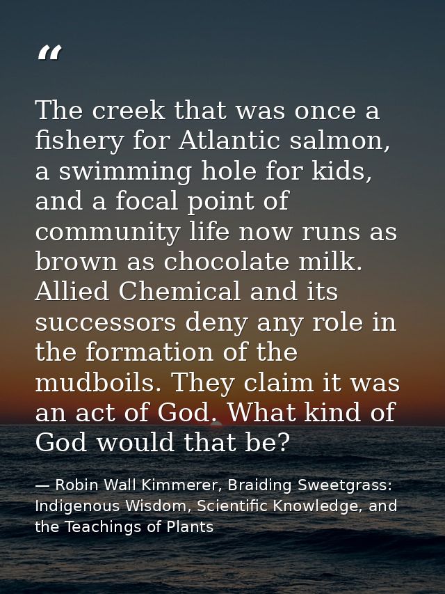 The creek that was once a fishery for Atlantic salmon, a swimming hole for kids, and a focal point of community life now — Robin Wall Kimmerer, Braiding Sweetgrass: Indigenous Wisdom, Scientific Knowledge, and the Teachings of Plants