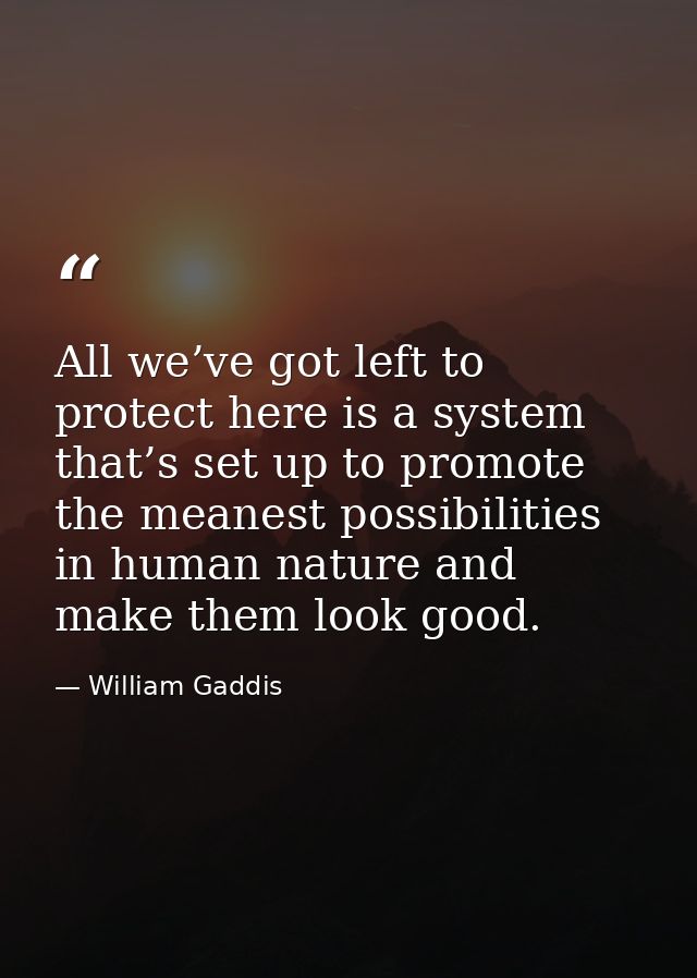 All we’ve got left to protect here is a system that’s set up to promote the meanest possibilities in human nature and ma — William Gaddis