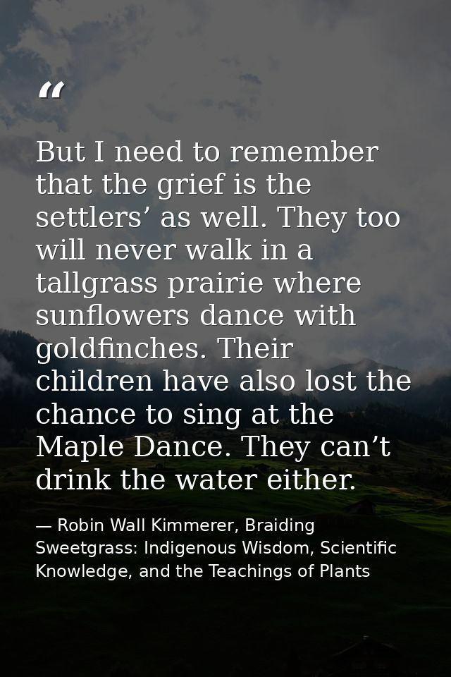 But I need to remember that the grief is the settlers’ as well. They too will never walk in a tallgrass prairie where su — Robin Wall Kimmerer, Braiding Sweetgrass: Indigenous Wisdom, Scientific Knowledge, and the Teachings of Plants