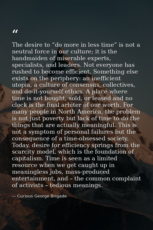 The desire to “do more in less time” is not a neutral force in our culture; it is the handmaiden of miserable experts, s — Curious George Brigade