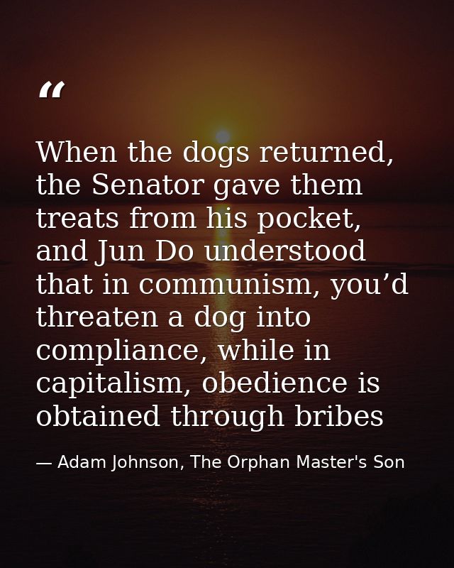 When the dogs returned, the Senator gave them treats from his pocket, and Jun Do understood that in communism, you’d thr — Adam Johnson, The Orphan Master's Son