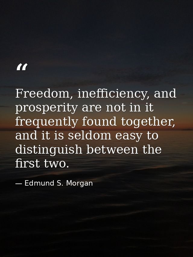 Freedom, inefficiency, and prosperity are not in it frequently found together, and it is seldom easy to distinguish betw — Edmund S. Morgan