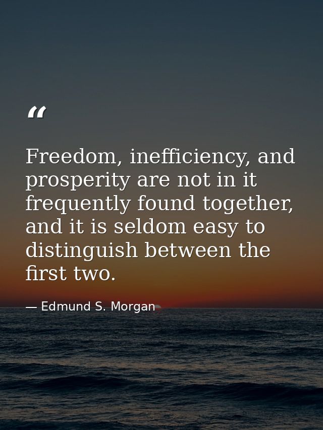 Freedom, inefficiency, and prosperity are not in it frequently found together, and it is seldom easy to distinguish betw — Edmund S. Morgan