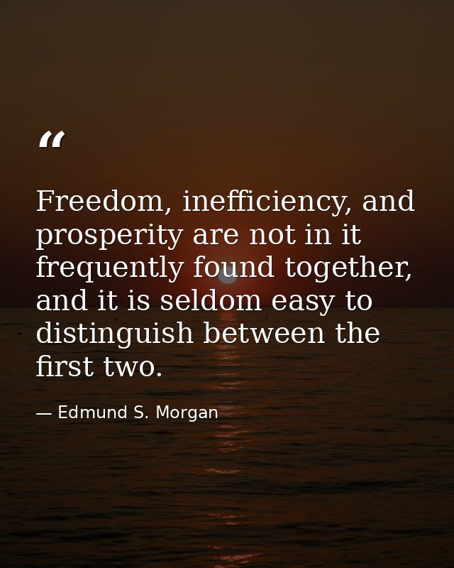 Freedom, inefficiency, and prosperity are not in it frequently found together, and it is seldom easy to distinguish betw — Edmund S. Morgan