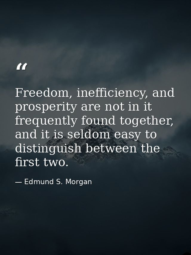 Freedom, inefficiency, and prosperity are not in it frequently found together, and it is seldom easy to distinguish betw — Edmund S. Morgan