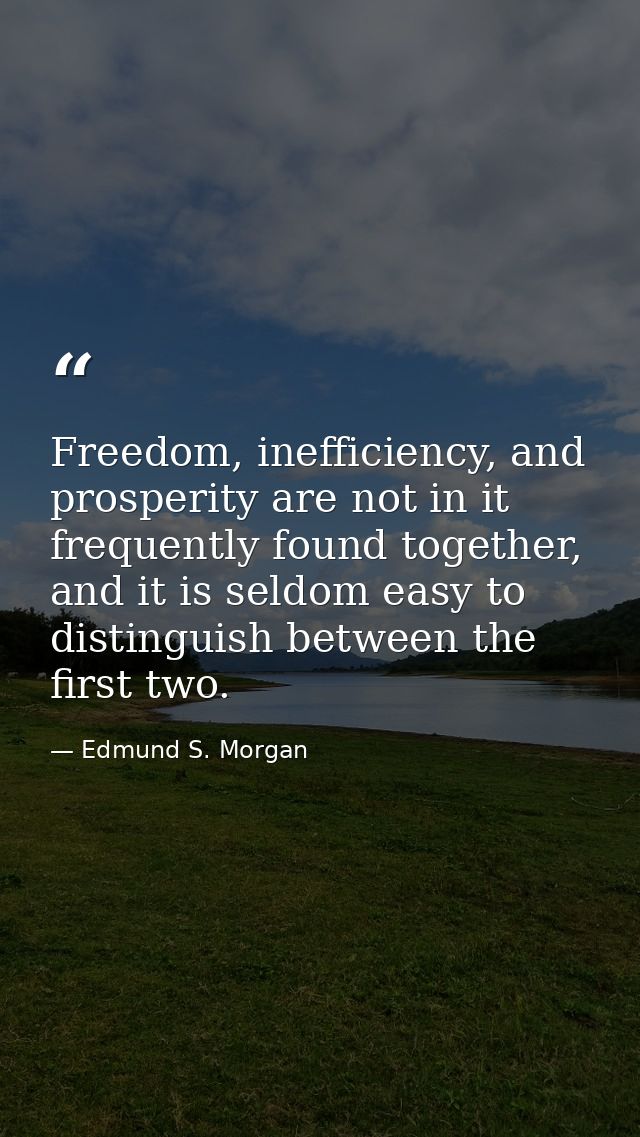 Freedom, inefficiency, and prosperity are not in it frequently found together, and it is seldom easy to distinguish betw — Edmund S. Morgan