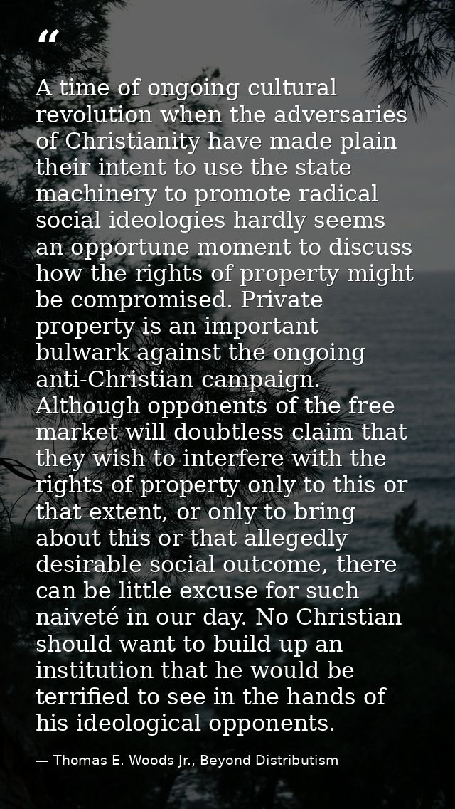 A time of ongoing cultural revolution when the adversaries of Christianity have made plain their intent to use the state — Thomas E. Woods Jr., Beyond Distributism